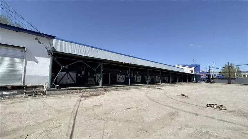 Склад в Самарская область, Самара проезд Мальцева, 4к13 (63.0 м) - Фото 1