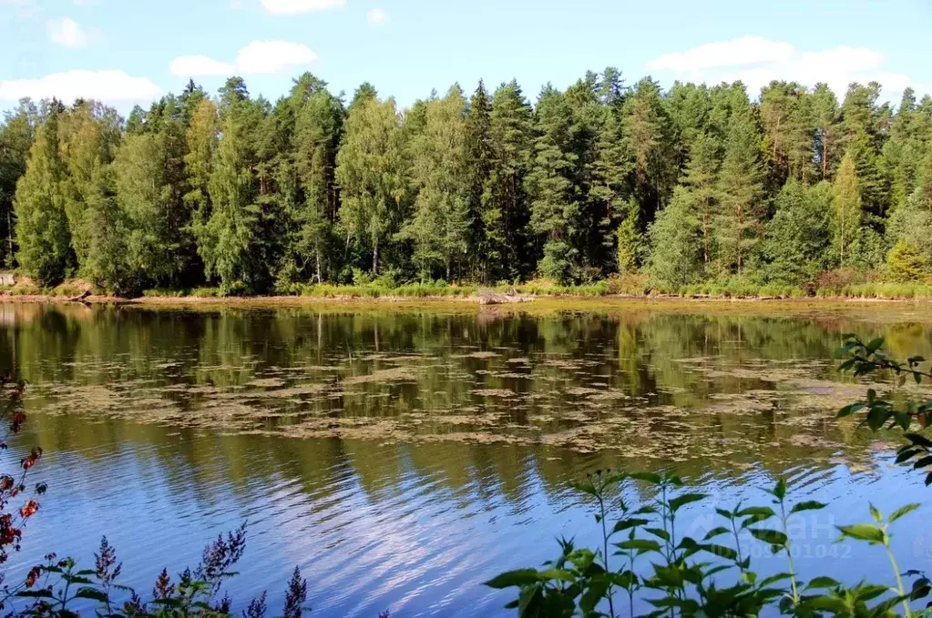 Дом в Ленинградская область, Гатчинский район, Вырица городской ... - Фото 0