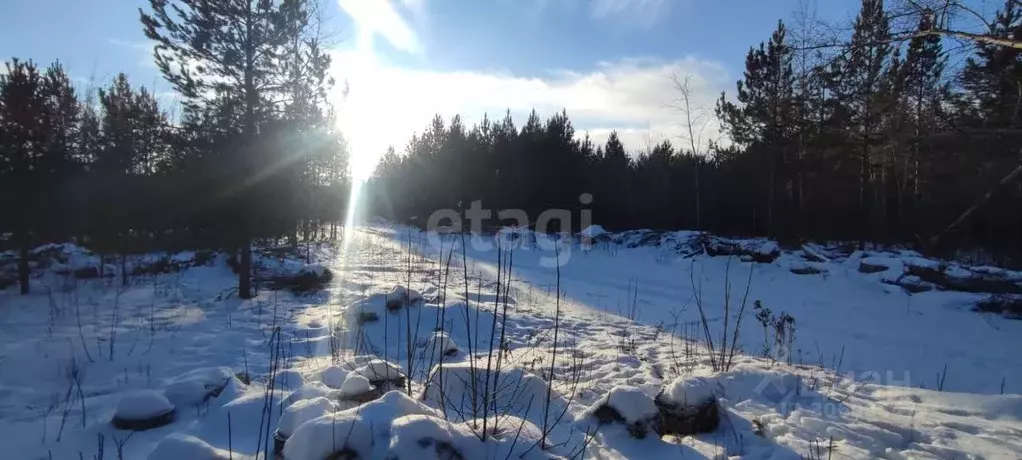 Участок в Свердловская область, Талица  (12.1 сот.) - Фото 0