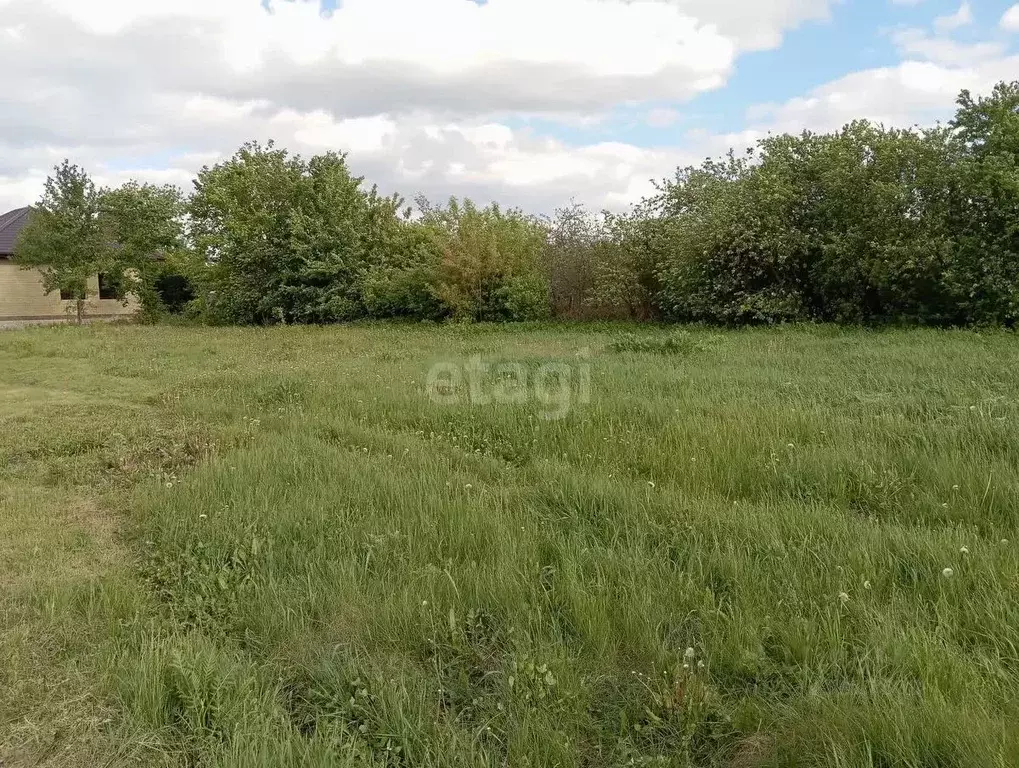 Участок в Воронежская область, Семилукский район, с. Губарево ул. ... - Фото 0