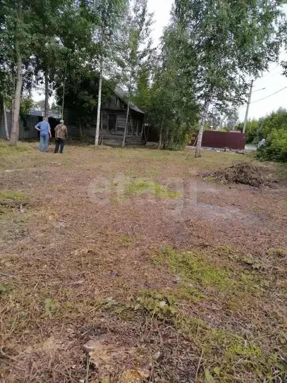 Участок в Брянская область, Брянск Ковшовка со, 8 (6.0 сот.) - Фото 1