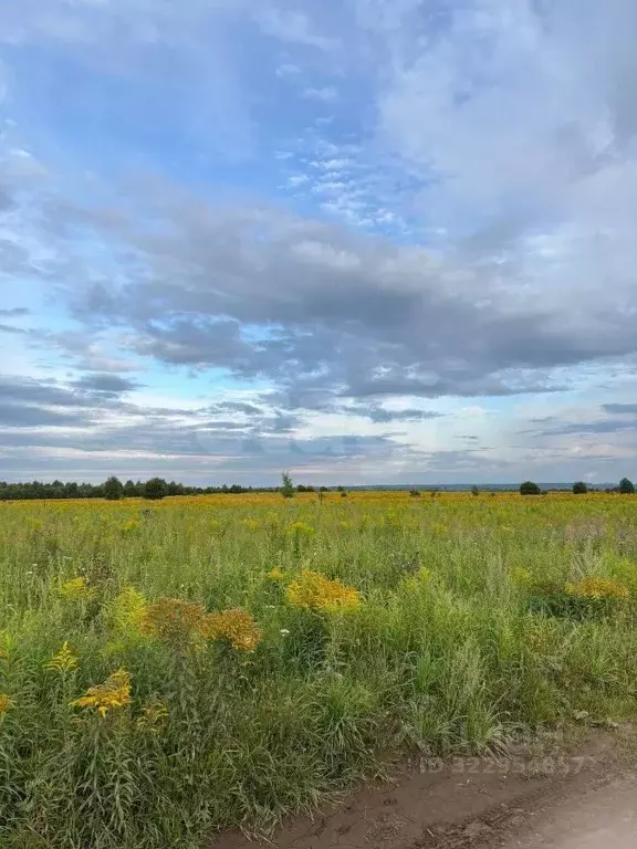 Участок в Удмуртия, Завьяловский район, с. Ягул  (13.0 сот.) - Фото 2