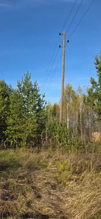 Участок в Свердловская область, Белоярский муниципальный округ, пос. ... - Фото 2