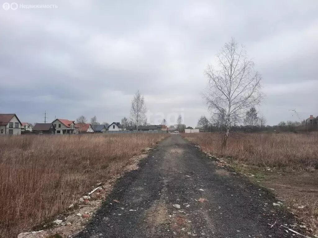 Участок в Зеленоградск, посёлок Вишнёвое (8 м) - Фото 1