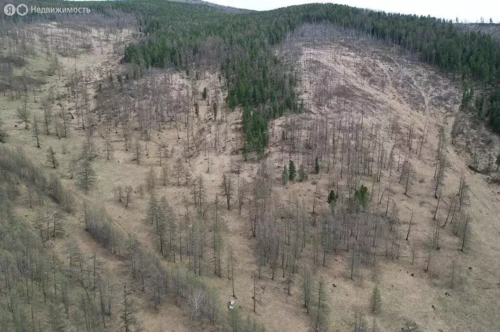 Участок в Онгудайский район, село Ело (69.37 м) - Фото 1