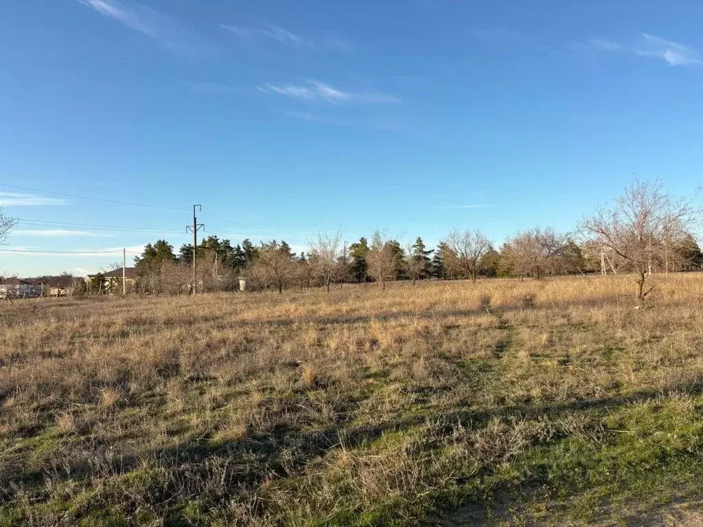 Участок в Волгоградская область, Городищенский район, Царицынское ... - Фото 2