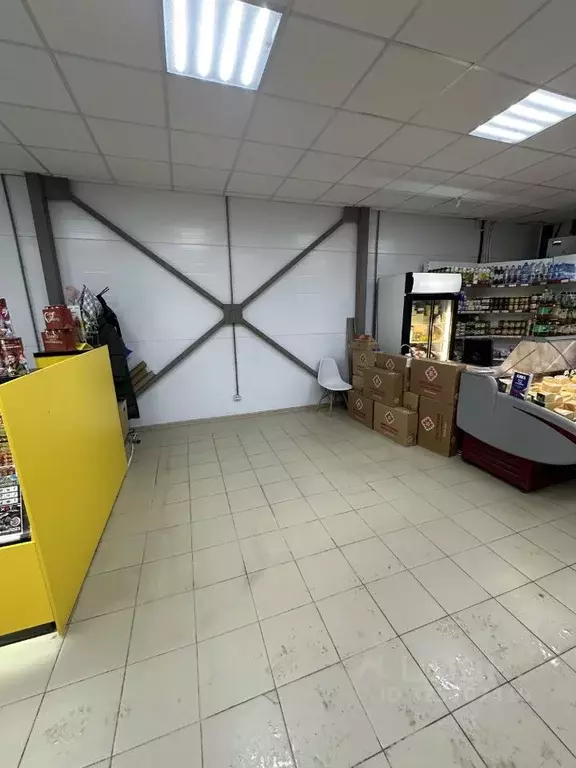 Торговая площадь в Новосибирская область, Новосибирск Выборная ул., ... - Фото 1