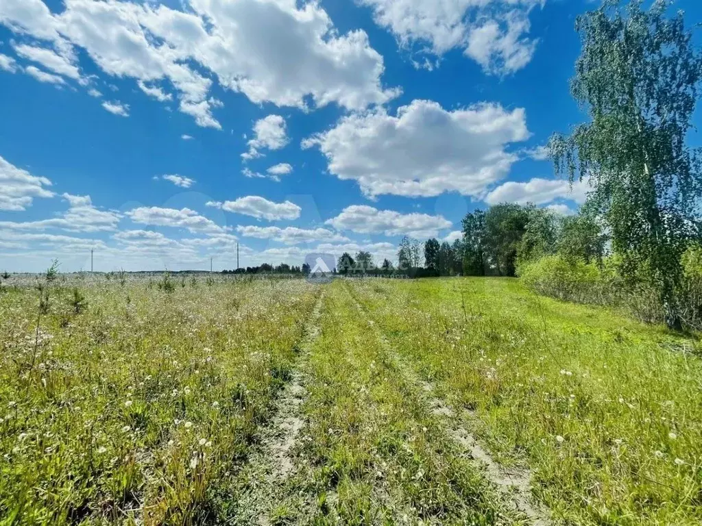 Участок в Тюменская область, Тюменский район, с. Каменка  (7.03 сот.) - Фото 1