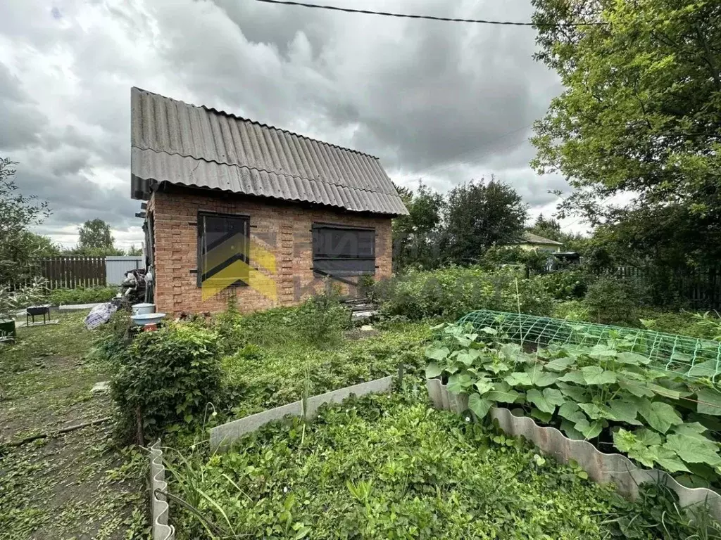 Дом в Омская область, Омск Сатурн верхний СНТ, аллея 5-я, 311 (35 м) - Фото 1