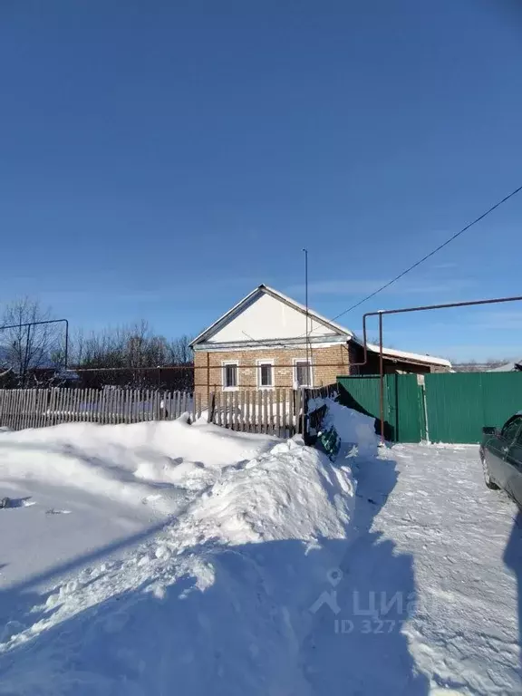 Дом в Пензенская область, Бессоновский район, с. Пыркино Зеленая ул., ... - Фото 1