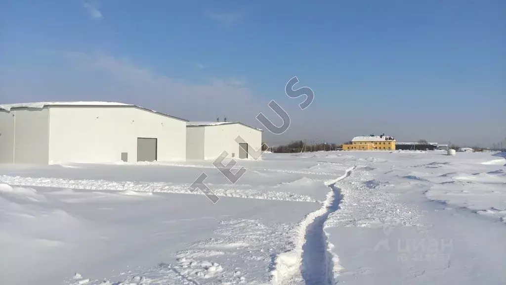 Склад в Московская область, Домодедово городской округ, д. Кучино 101 ... - Фото 2