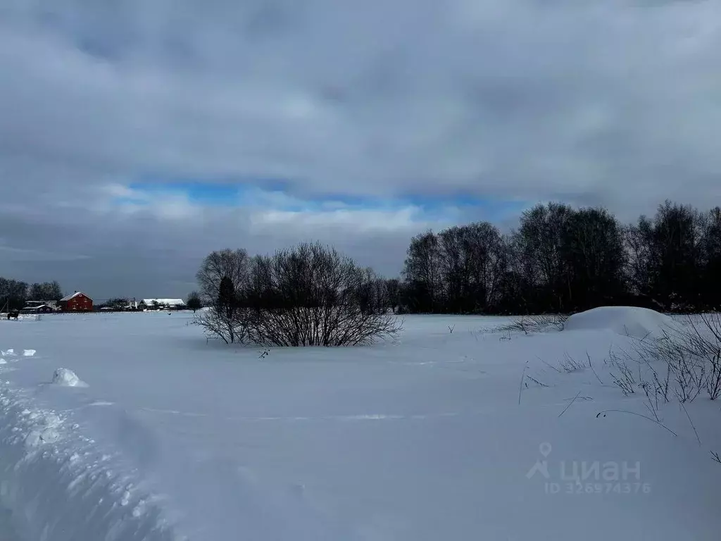 Участок в Московская область, Ступино городской округ, д. Красный ... - Фото 1