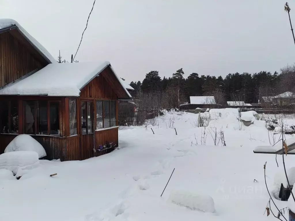 Участок в Новосибирская область, Новосибирский район, Барышевский ... - Фото 2