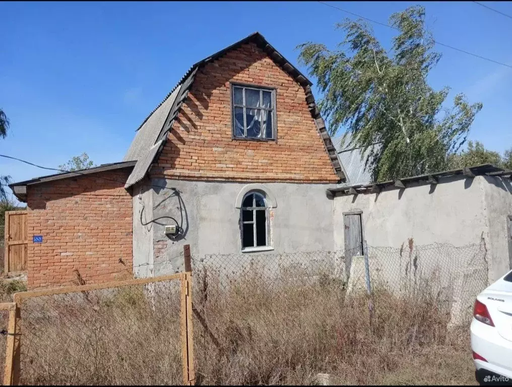 Участок в Воронежская область, Новоусманский район, Тимирязевское ... - Фото 2