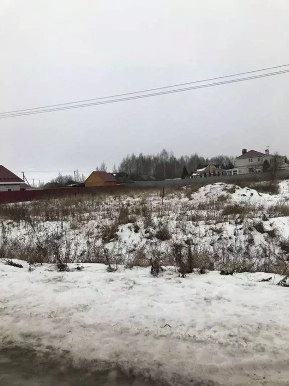 Участок в Нижегородская область, Богородский муниципальный округ, ... - Фото 1