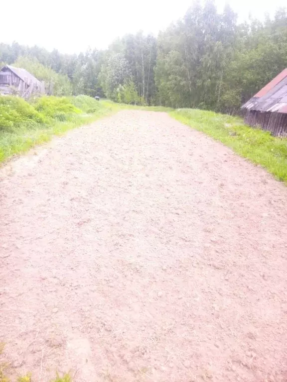 Дом в Нижегородская область, Чкаловск городской округ, д. Афанасьево  ... - Фото 1