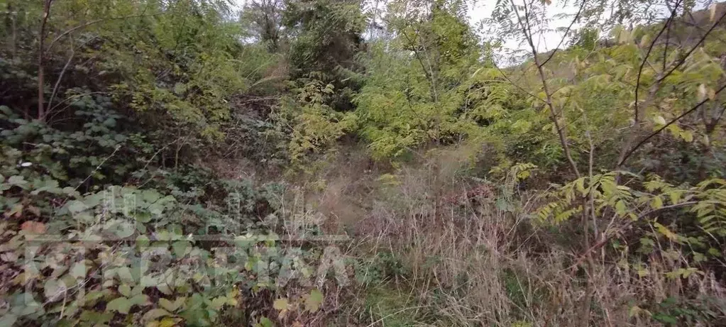 Участок в Краснодарский край, Новороссийск Цемдолина тер., ул. ... - Фото 2