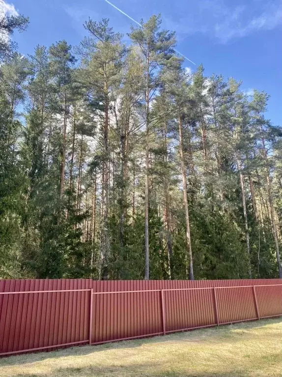 Участок 8 сот. (СНТ, ДНП) - Фото 0