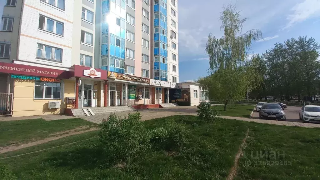 Торговая площадь в Орловская область, Орел Наугорское ш., 88 (39 м) - Фото 1