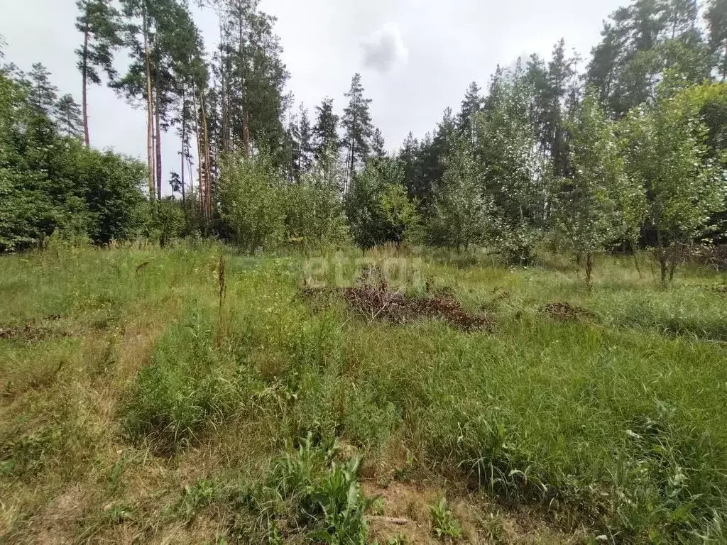 Участок в Воронежская область, с. Новая Усмань ул. Захлебная (7.5 ... - Фото 1