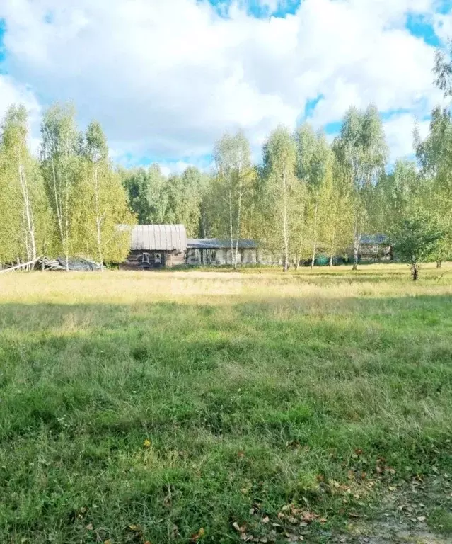 Участок в Нижегородская область, Воротынский муниципальный округ, с. ... - Фото 1