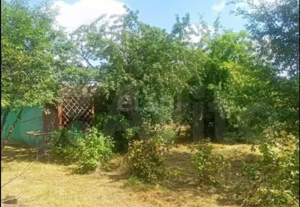 Участок в Калужская область, Перемышльский муниципальный округ, ... - Фото 2