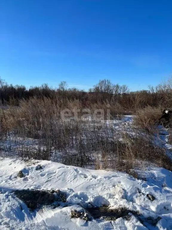 Участок в Амурская область, Благовещенск Новотроицкое шоссе, 8-й км ... - Фото 1