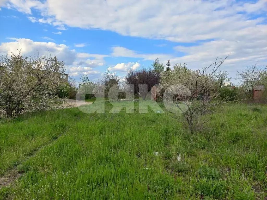 Участок в Волгоградская область, Городищенский район, Ерзовское ... - Фото 2