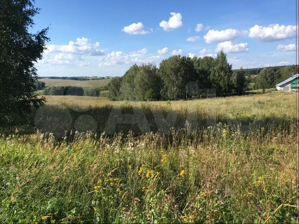 Участки в богородском районе. Деревня Подъяблонное Богородский район Нижегородской области. Деревня Швариха. Деревня Оринкино Богородский район. Швариха Богородский район.