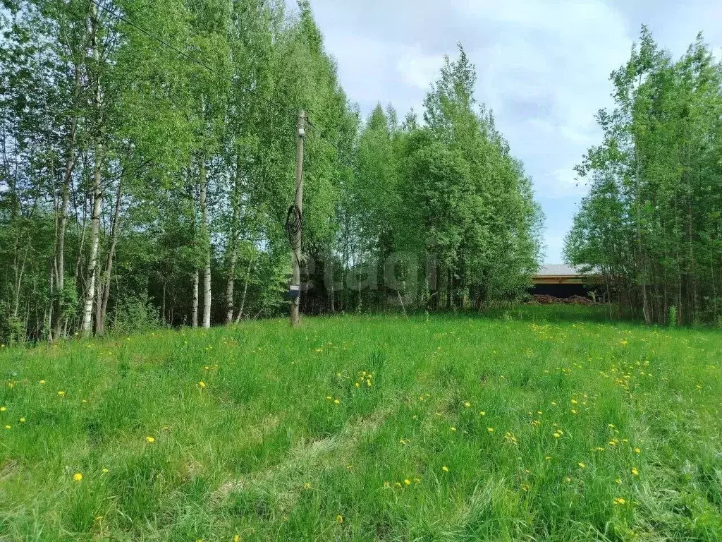 Участок в Вологодская область, Череповецкий район, Ирдоматское с/пос, ... - Фото 1