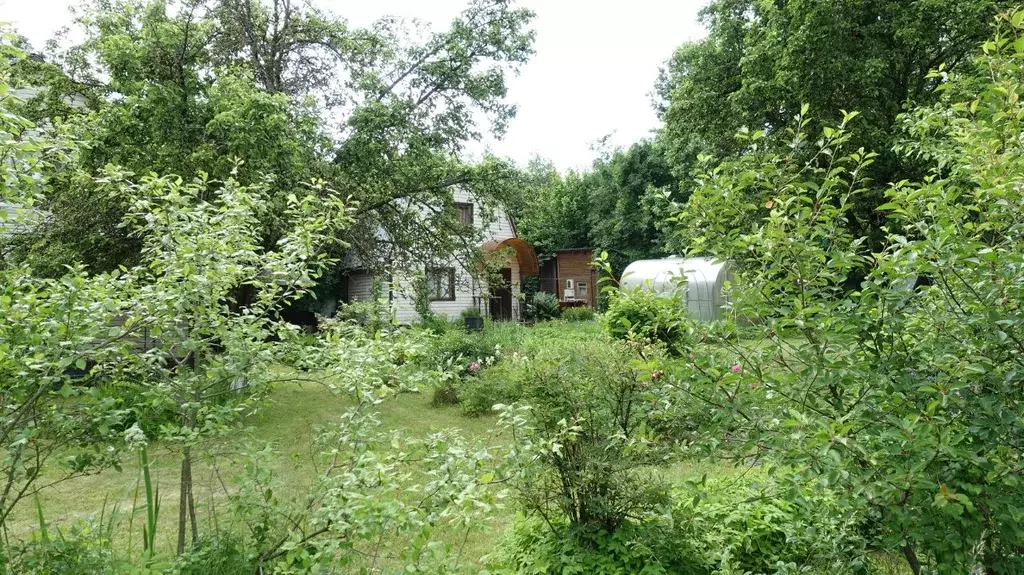 Дом в Московская область, Солнечногорск городской округ, Солнечный СНТ ... - Фото 1