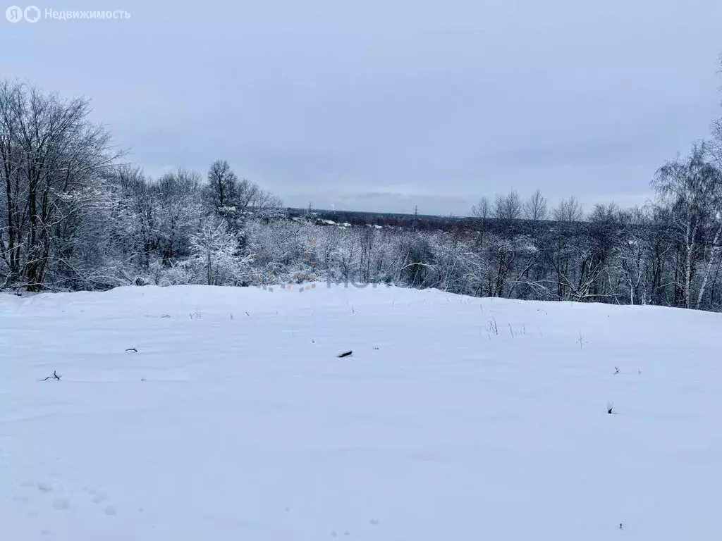 Участок в деревня Афонино, Родниковая улица (5.43 м) - Фото 1