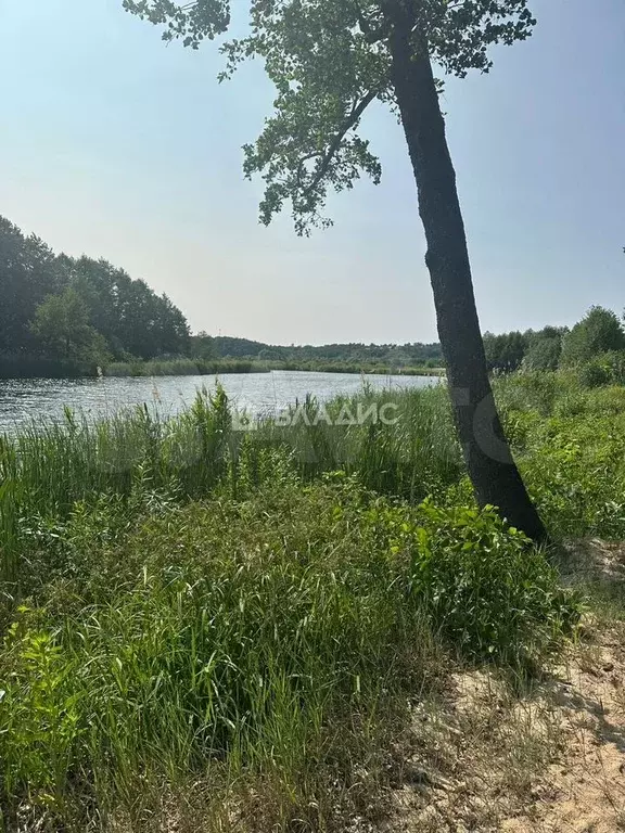 Дом 37,1 м на участке 9,3 сот. - Фото 0