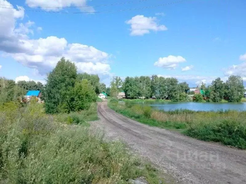 Участок в Новосибирская область, Новосибирский район, Станционный ... - Фото 2