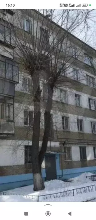 Комната Челябинская область, Челябинск просп. Победы, 300 (16.0 м) - Фото 0
