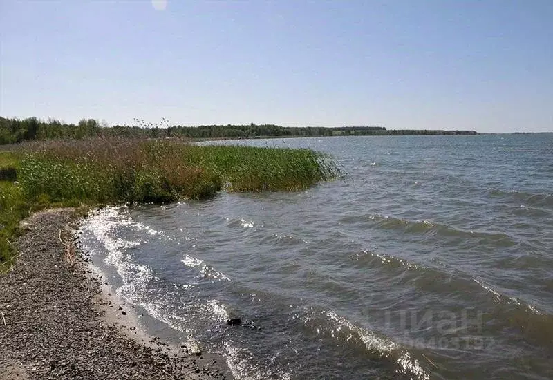 Участок в Челябинская область, Красноармейский район, с. Шумово  (6.0 ... - Фото 0