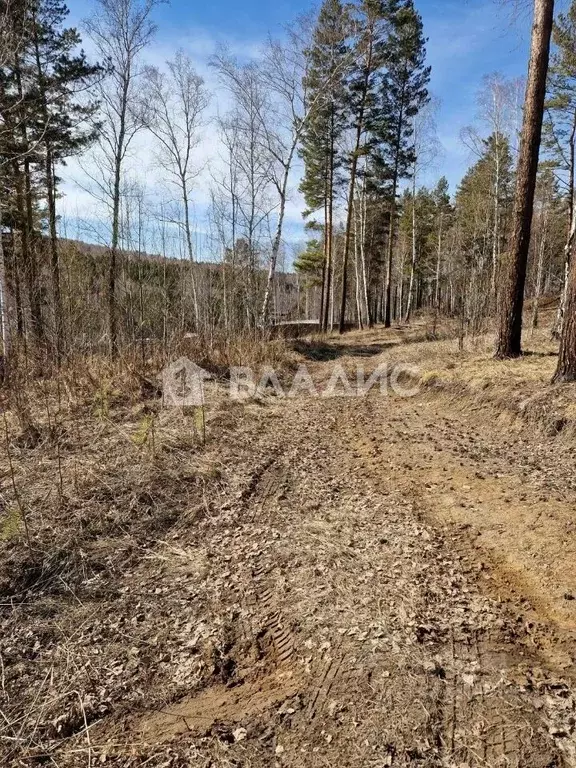 Участок в Иркутская область, Иркутский муниципальный округ, Маркова ... - Фото 2
