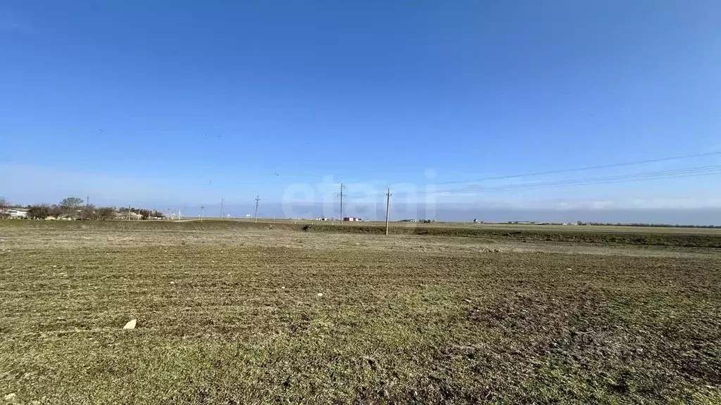 Участок в Крым, Раздольненский район, Славновское с/пос, с. Котовское  ... - Фото 1