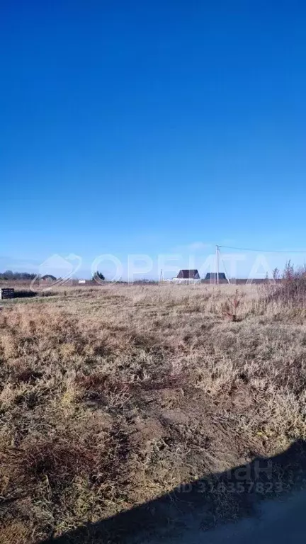 Участок в Тюменская область, Тюменский район, д. Есаулова, Клюква кп  ... - Фото 1