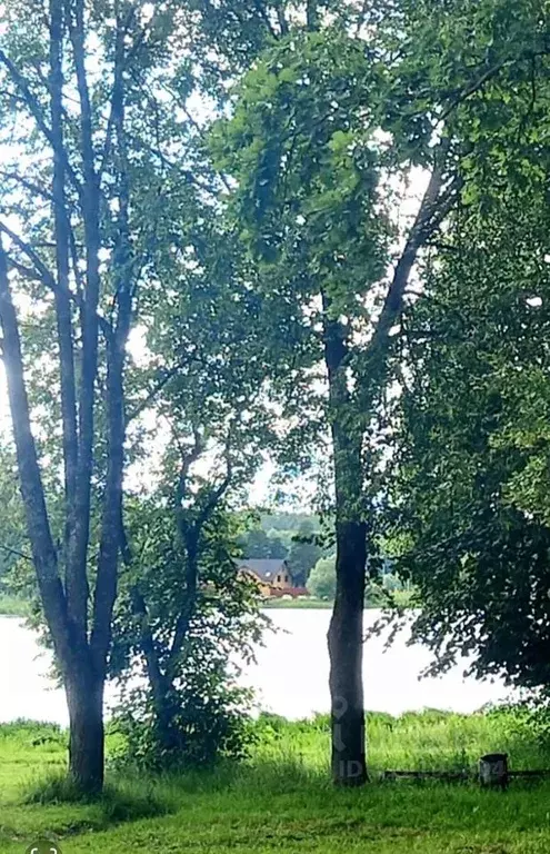 1-к кв. Тверская область, Конаково ул. Энергетиков, 4 (32.0 м) - Фото 2