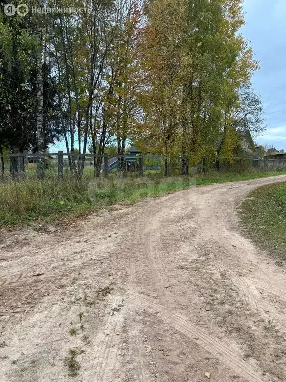 Дом в Вологодская область, Тарногский муниципальный округ, деревня ... - Фото 2