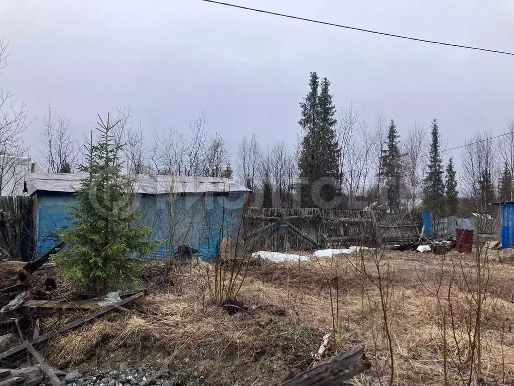 Участок в Мурманская область, Ковдорский муниципальный округ, Победа ... - Фото 2