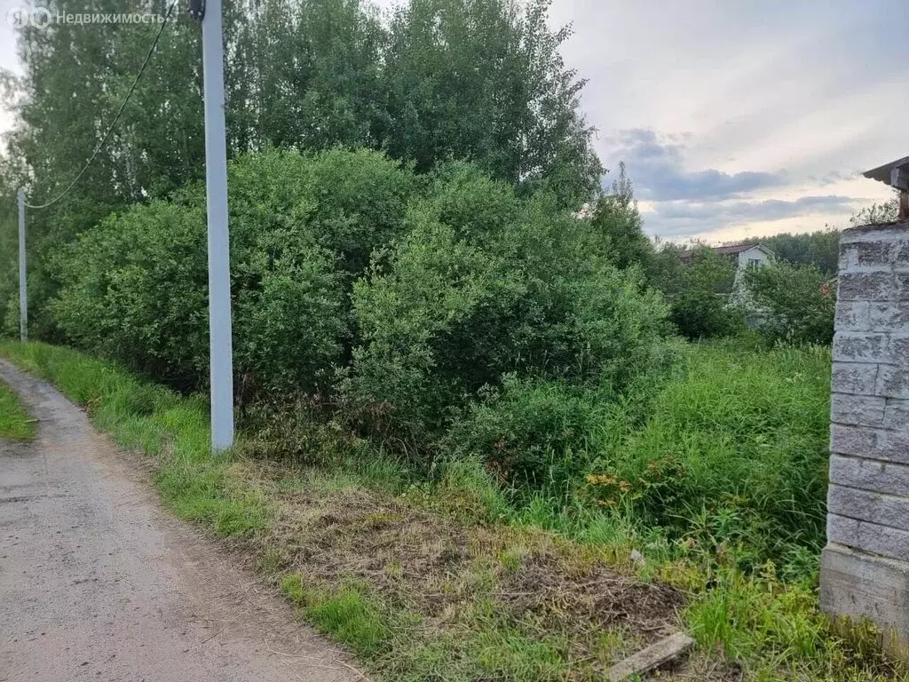 Участок в Аро, Луговая улица, 2А (14 м) - Фото 0