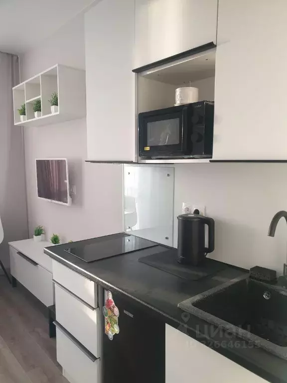 Студия Санкт-Петербург пос. Шушары, просп. Старорусский, 3к2 (20.0 м) - Фото 2