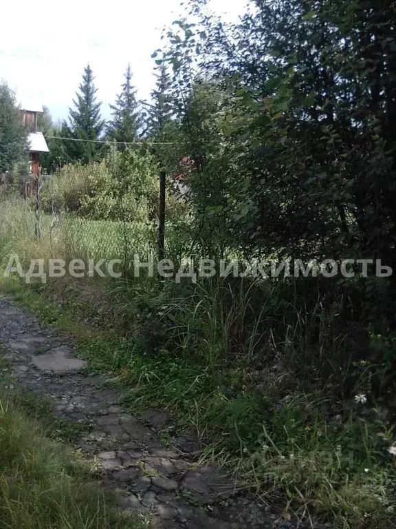 участок в тюменская область, тюменский район, нива снт ул. сиреневая . - Фото 0