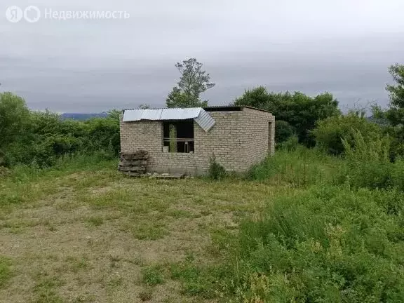 Дом в Приморский край, Партизанский муниципальный округ, село Золотая ... - Фото 1