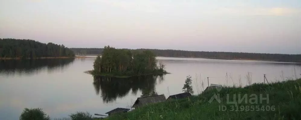 Участок в Новгородская область, Валдайский район, Едровское с/пос, д. ... - Фото 0