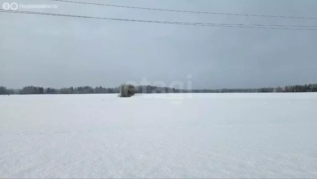 Участок в Будогощское городское поселение, деревня Смолино (52.5 м) - Фото 2