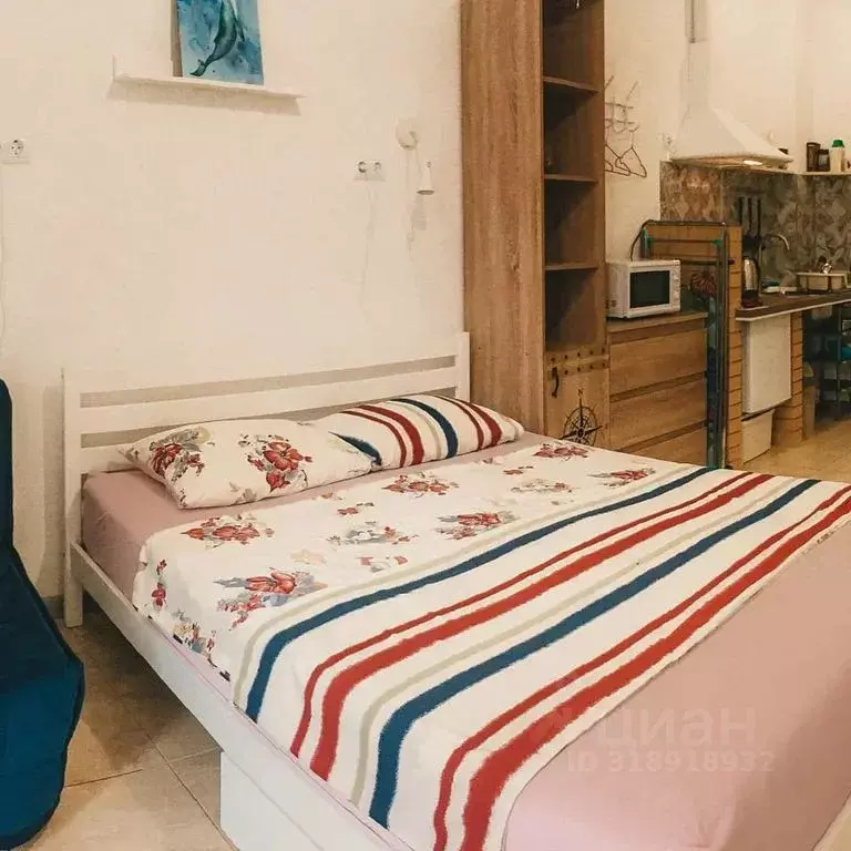 Студия Краснодарский край, Геленджик Крымская ул., 22к17 (23.0 м) - Фото 0