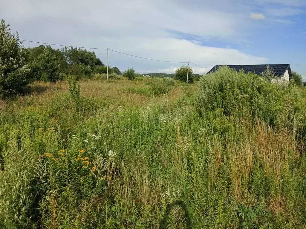 Участок в Калининградская область, Зеленоградский муниципальный округ, ... - Фото 2